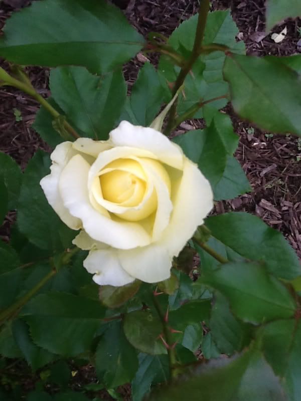 Photobucket Pictures, Images and Photos