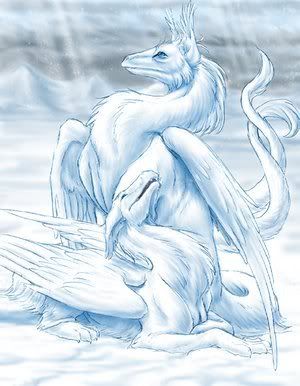 winter dragons