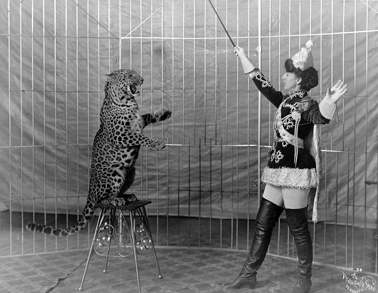 animal trainer leopard