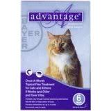 advantage cat flea treatment