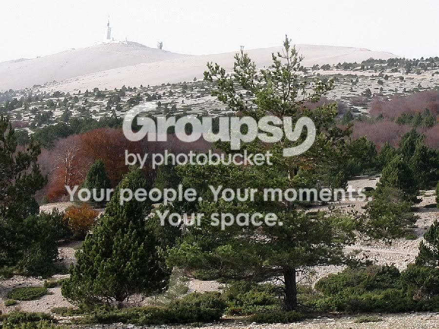 partie terminale du Ventoux...
