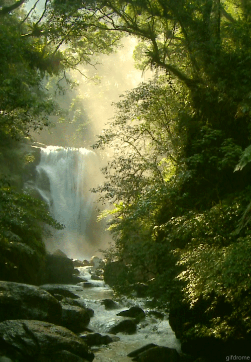 photo beautiful-forest-waterfall-rocks-nature-animated-gif_zpsmxw5fmy1.gif