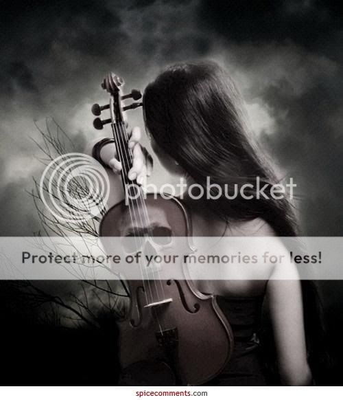 Violin Pictures, Images and Photos